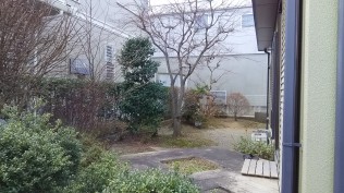 お話し頂いたのは1月終わり頃だったので、葉はありませんがモミジです。 周囲を和風の樹々が囲みます。