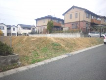 鋤取り前 高低差も少しありました。