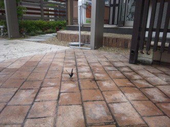 雨があがると 21062d1c81f446398767985b9b565760