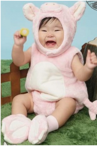1歳の小ブタちゃん 牧場でバナナをもらい大喜びブヒ。