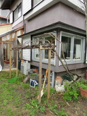 before before