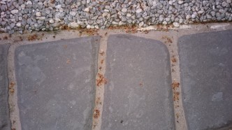 DSC_0046 DSC_0046