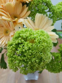 DSC_0478 DSC_04781