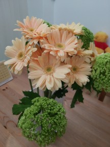 DSC_0479 DSC_0479
