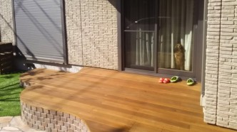出来立てのお庭に出たいとワンチャンが駆け寄ってきます。 お得意の窓をシャカシャカするやつです。