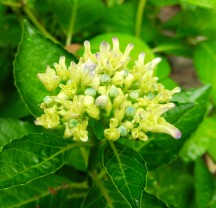 DSC_0567 DSC_0567