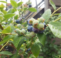 DSC_0576 DSC_0576