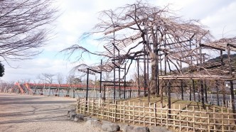 平等院 平等院