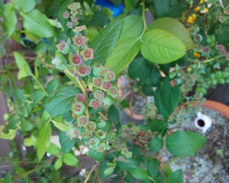 DSC_0814 DSC_08147