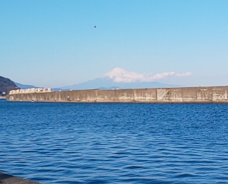 DSC_0959 DSC_0959