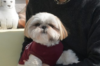 愛犬カコちゃんもお気に入り 愛犬カコちゃんもお気に入り