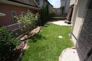 IMG_0126 IMG_0126