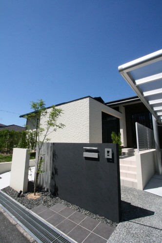 IMG_0310 IMG_0310