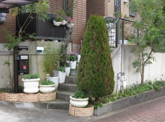 コニファーや樹木が茂り、 通路の階段が狭くなり、