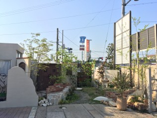 IMG_1525 IMG_15251