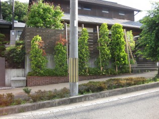 木製の板塀の柱も木製でグラグラでした。 台風前に支柱が必要な程でした。