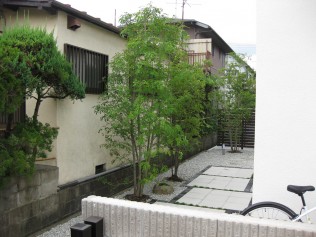 隣地の家が近く、背景になっていました。 樹木が綺麗なので生かすフェンスを考えます。
