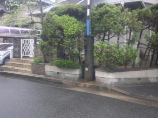 歯抜けの生垣 門周りなのに