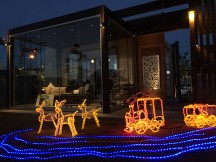IMG_1865 IMG_18651