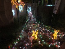 IMG_1871 IMG_1871
