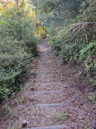 IMG_20171101_155532 IMG_20171101_155532