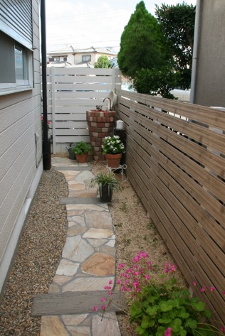 IMG_2875 IMG_2875