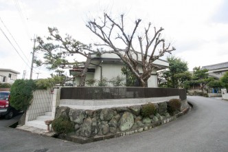 IMG_3798 IMG_3798