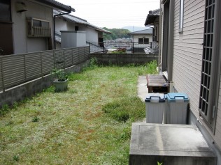 雑草抜きをあきらめて。 放っておくとそうなります。