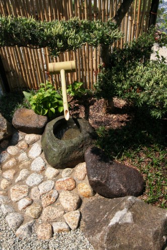 IMG_4903 IMG_49031