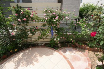IMG_8182 IMG_8182