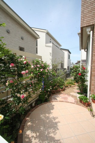 IMG_8190 IMG_8190